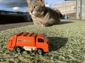 ホームページ開設いたしました